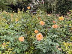 -人民公园(罗湖区)