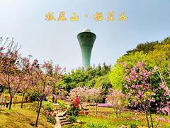 -狐尾山公园