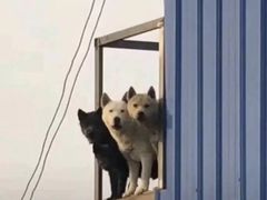 -红小满休闲餐厅(十全街店)