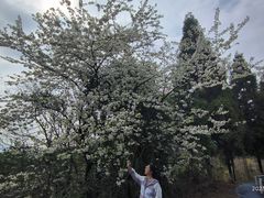 -贵州省植物园