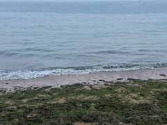 -青岛第三海水浴场
