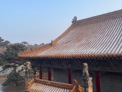 -北陵公园