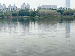 -海珠湖公园