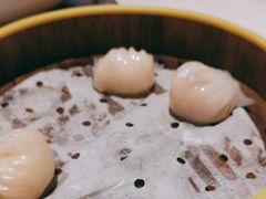-宝燕壹号(徐汇店)