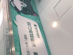 -瑞派先诺宠物医院•猫专科•普外科•中兽医(佛山院)
