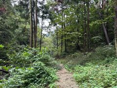 -素山寺森林公园