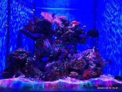 -多彩贵州城极地海洋世界