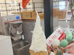 -野人先生Gelato(上海长宁龙之梦店)