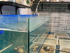 水产区-金谷园饺子·烧烤(人大总店)