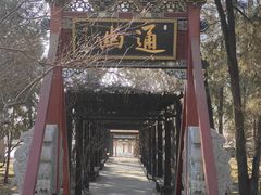 -晋祠公园