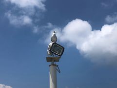 -海驴岛(荣成市)