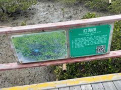 -北海金海湾红树林生态旅游区
