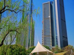 -陆家嘴中心绿地