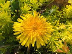 -昆山城市生态森林公园