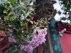 -古大圣慈寺