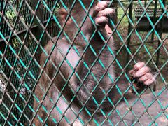 -藏龙百瀑风景区