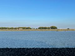-大湾区中央湿地公园-十九涌