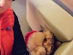 -星巴克(红房子店)