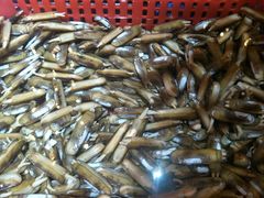 -79号渔船海鲜饭店(华强北店)