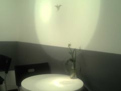 -美丽心情蛋糕(江苏路店)