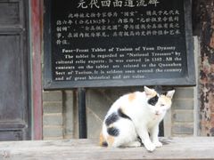 -玉泉观