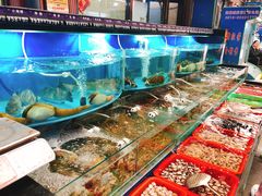 -望海潮海鲜店 特色家常菜(在海一方店)