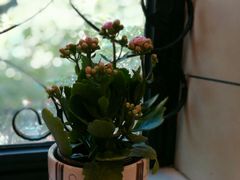 -红房子西菜馆(淮海中路店)