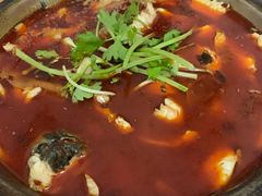 -重庆特色冷锅鱼(武大店)