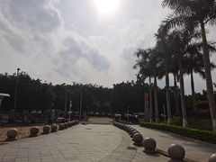 -奥林匹克体育中心游泳馆