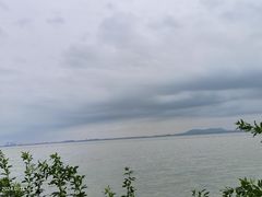 -贡湖湾湿地公园