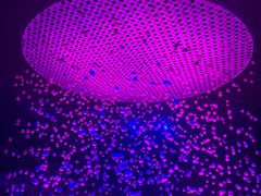 -芜湖方特东方神画