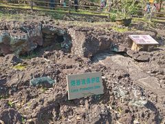 -海口火山口国家地质公园