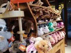 -ZOO COFFEE动物园咖啡(望京锐创店)