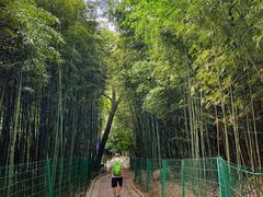 -四门塔风景区