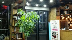 -UPTOP鼎上造型