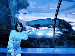 -乐从天佑城海洋馆
