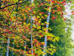 -天目湖御水温泉·度假酒店
