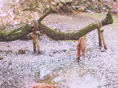 -再回首鸡肉米线(人民路一店)