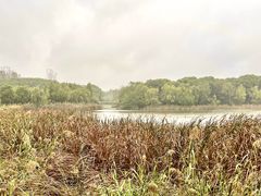 -昆山城市生态森林公园