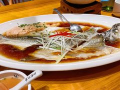 翘嘴鲌鱼-丹江渔村(望京店)