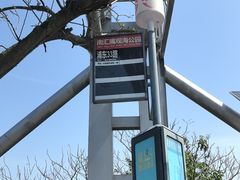 -南汇嘴观海公园