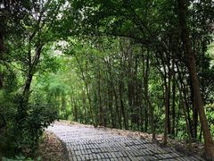 -第一山景区