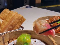 -点都德·毕德寮