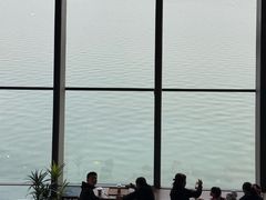 -抱抱地球咖啡馆(国家海洋博物馆店)