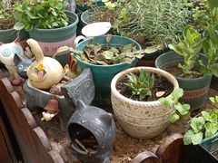 -IFIF 如果花園(宽厚里店)