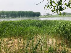 -顺鑫绿色度假村