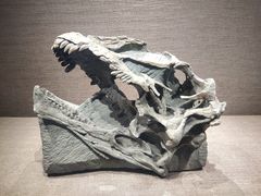 -自贡恐龙博物馆