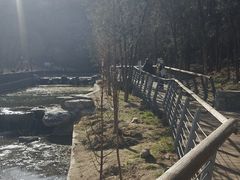 -白水寺森林公园