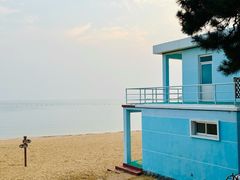 -八大关景区