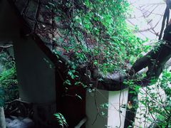 -青青世界